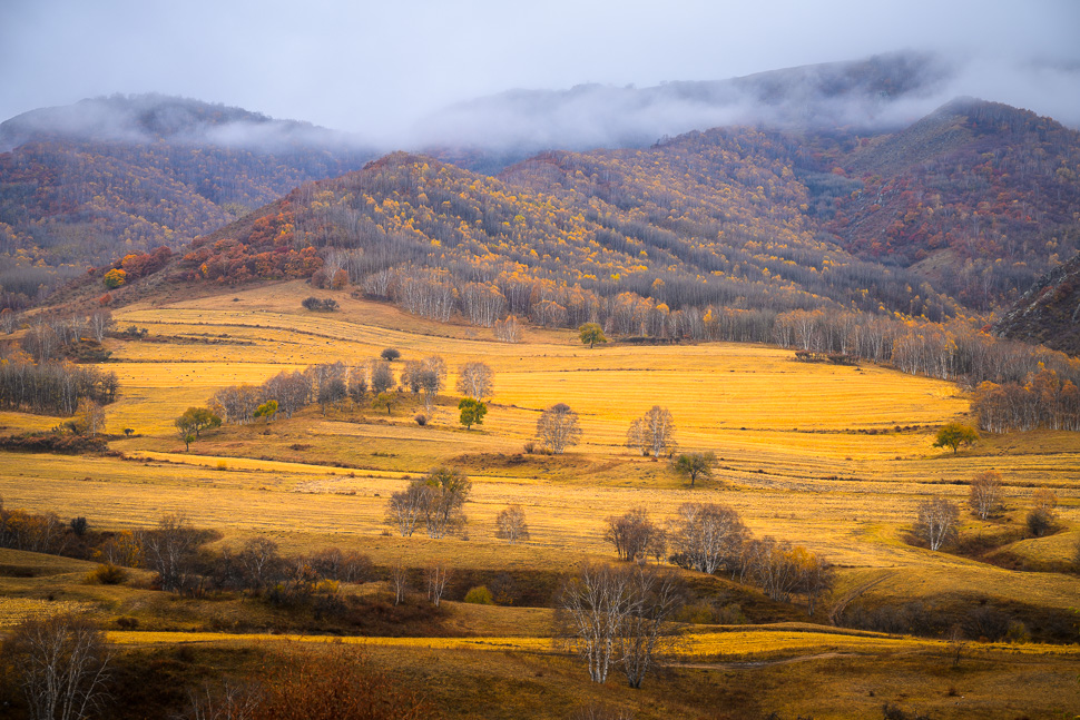 乌兰布统蛤蟆坝